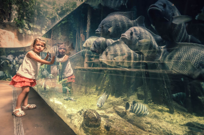 zoo
